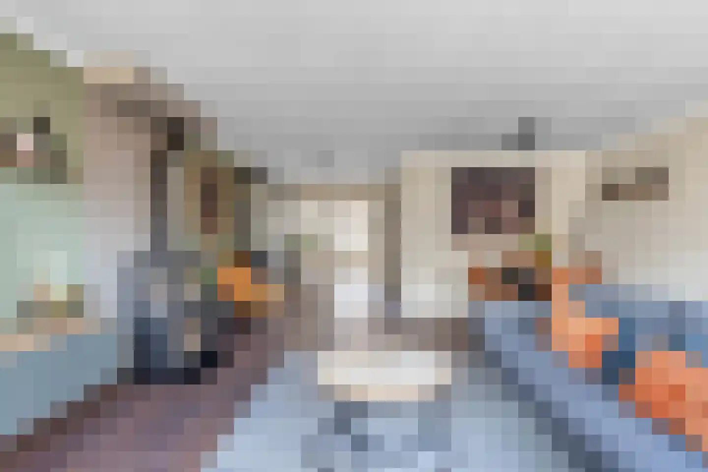 Wilgeroosje 36 Heino thumbnail 5