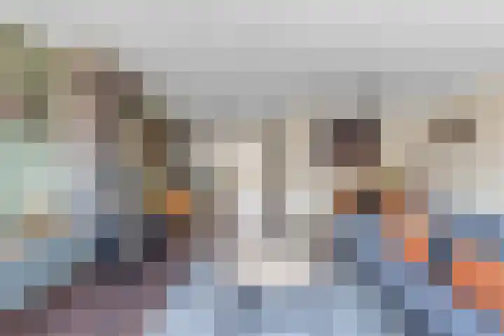 Wilgeroosje 36 Heino thumbnail 5