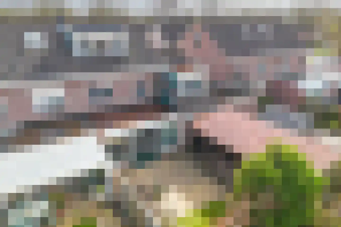 Wilgeroosje 36 Heino thumbnail 50