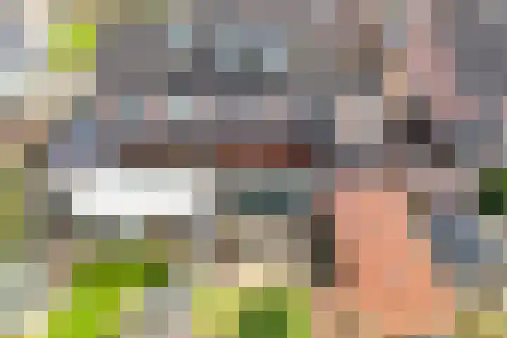 Wilgeroosje 36 Heino thumbnail 50