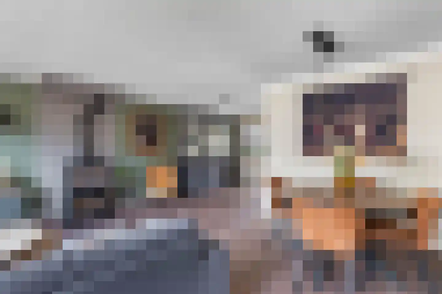 Wilgeroosje 36 Heino thumbnail 8