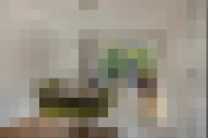 Wilgeroosje 42 Heino thumbnail 10