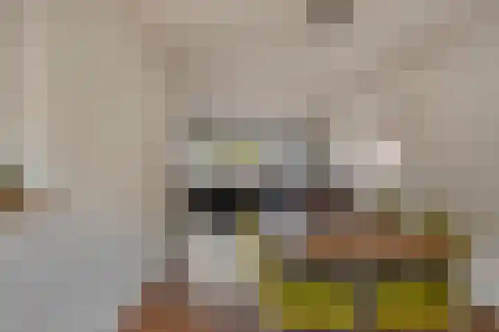 Wilgeroosje 42 Heino thumbnail 11