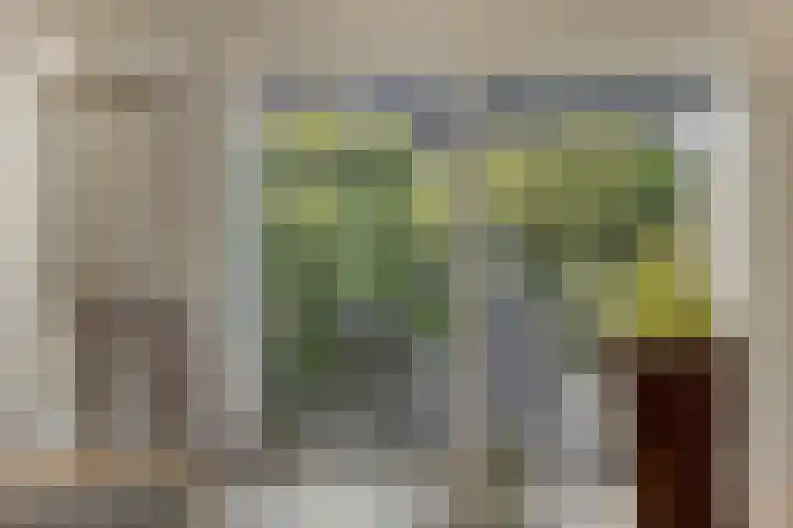 Wilgeroosje 42 Heino thumbnail 12