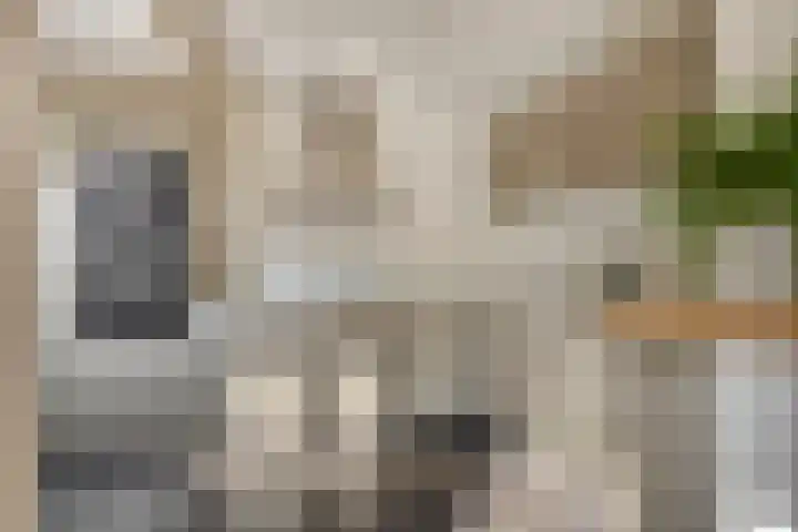 Wilgeroosje 42 Heino thumbnail 14