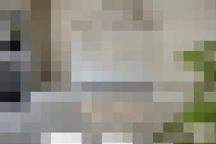 Wilgeroosje 42 Heino thumbnail 16