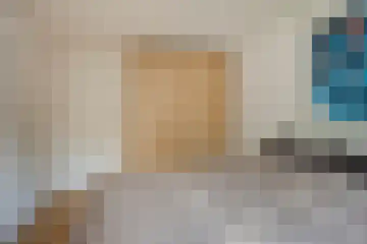 Wilgeroosje 42 Heino thumbnail 22