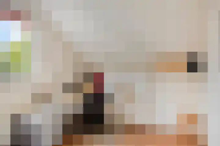 Wilgeroosje 42 Heino thumbnail 28