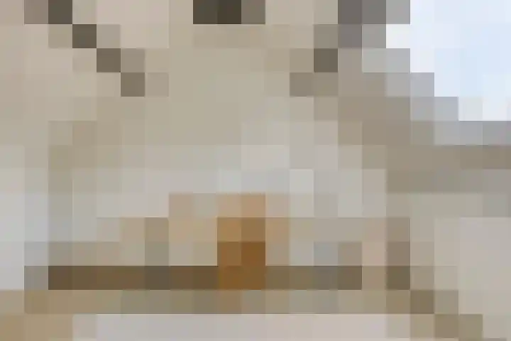 Wilgeroosje 42 Heino thumbnail 32