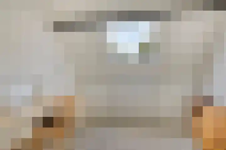 Wilgeroosje 42 Heino thumbnail 33