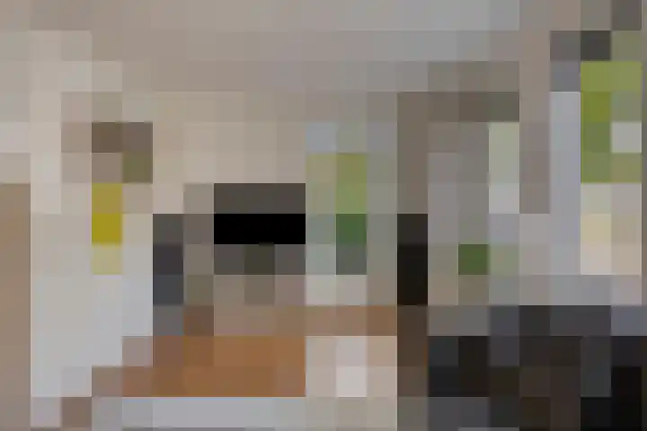 Wilgeroosje 42 Heino thumbnail 7