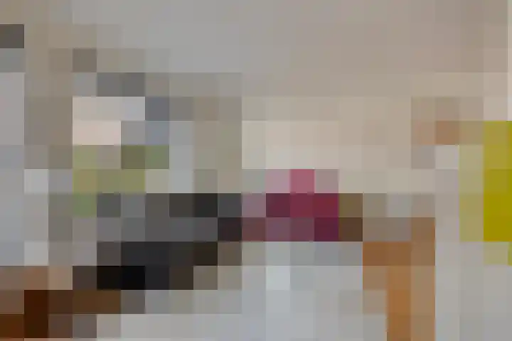 Wilgeroosje 42 Heino thumbnail 8