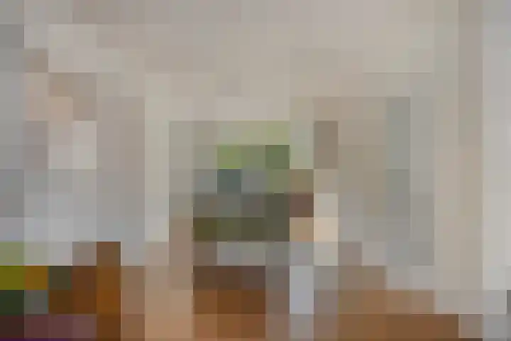 Wilgeroosje 42 Heino thumbnail 9