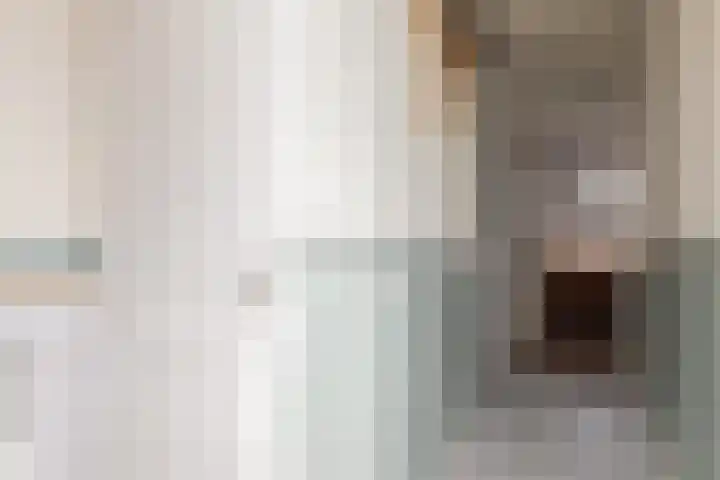 Wilgeroosje 58 Sneek thumbnail 12