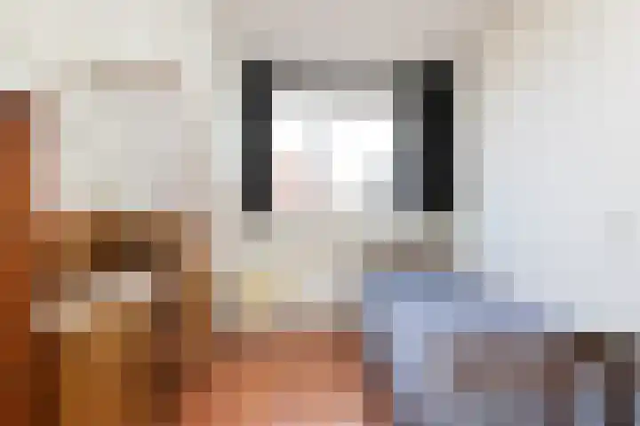 Wilgeroosje 58 Sneek thumbnail 17