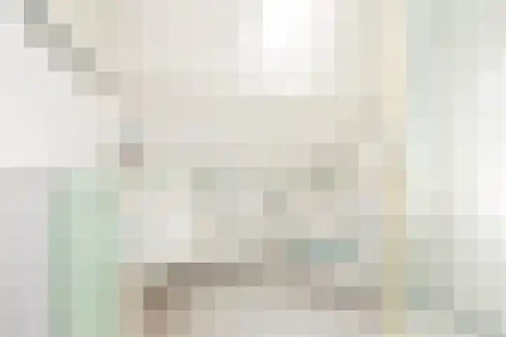 Wilgeroosje 58 Sneek thumbnail 20