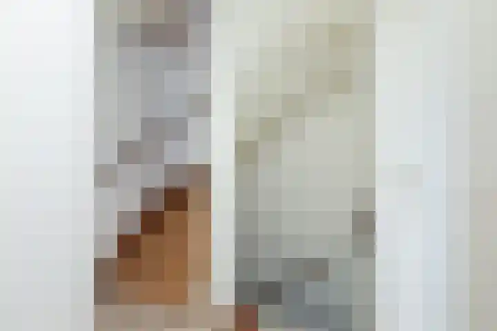 Wilgeroosje 58 Sneek thumbnail 22