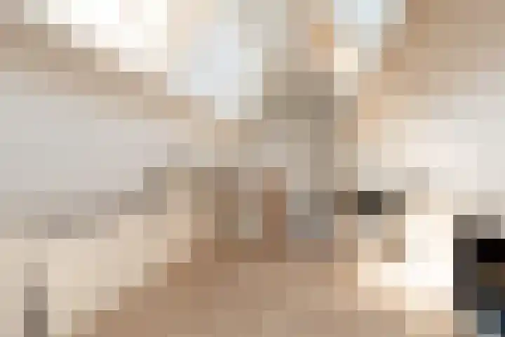 Wilgeroosje 58 Sneek thumbnail 24