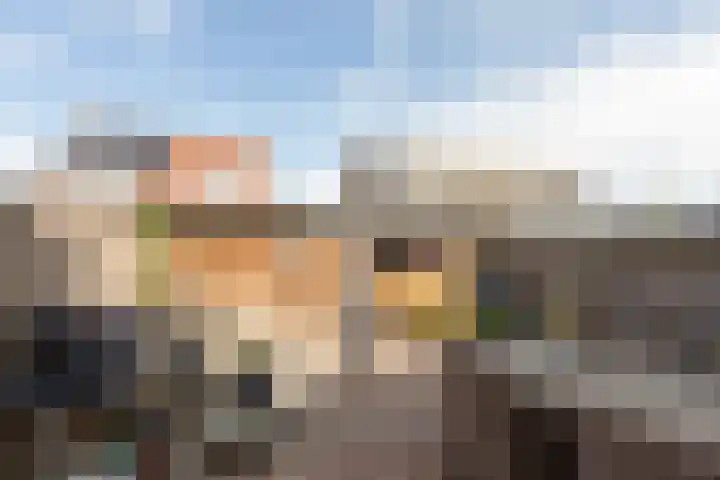 Wilgeroosje 58 Sneek thumbnail 25