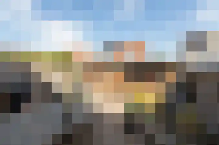 Wilgeroosje 58 Sneek thumbnail 26
