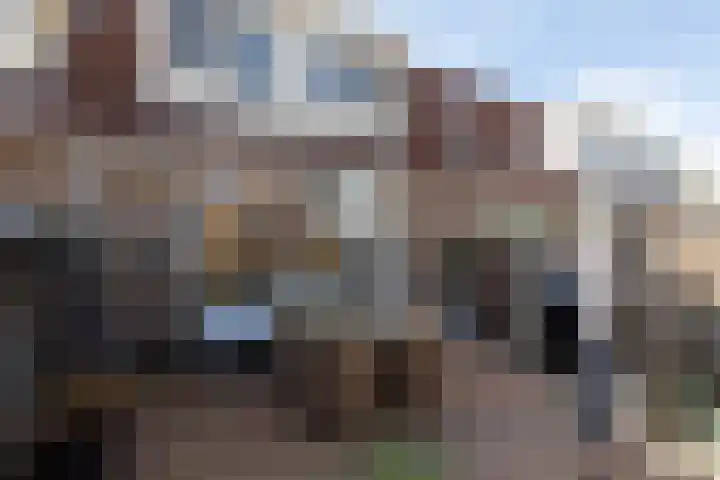 Wilgeroosje 58 Sneek thumbnail 27