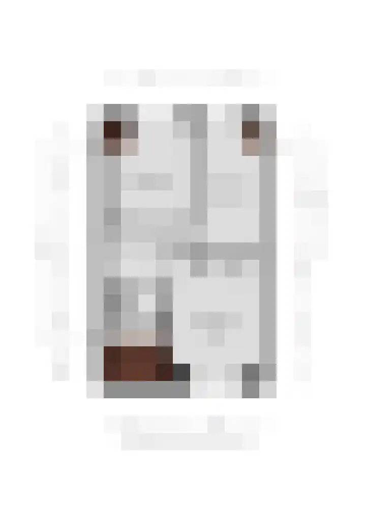 Wilgeroosje 58 Sneek thumbnail 30