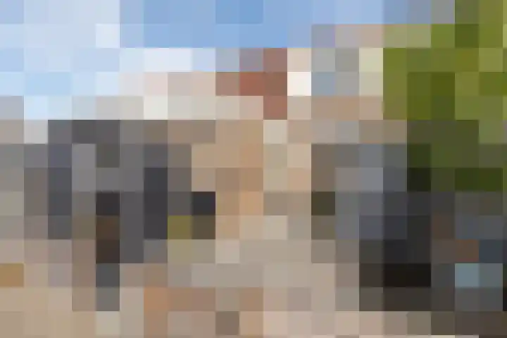 Wilgeroosje 58 Sneek thumbnail 4