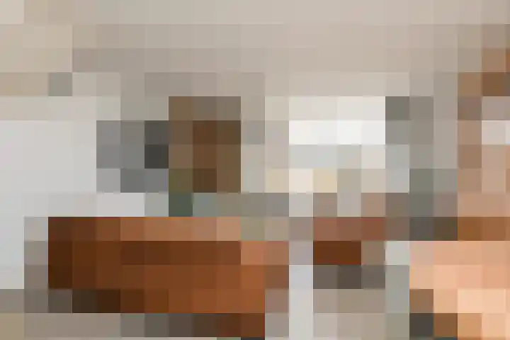 Wilgeroosje 58 Sneek thumbnail 6
