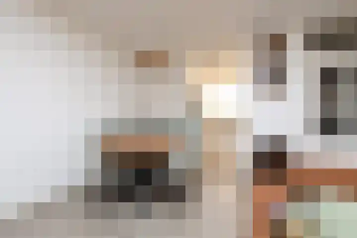 Wilgeroosje 58 Sneek thumbnail 8