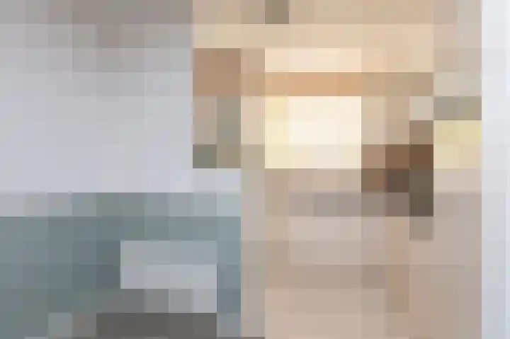 Wilgeroosje 58 Sneek thumbnail 9