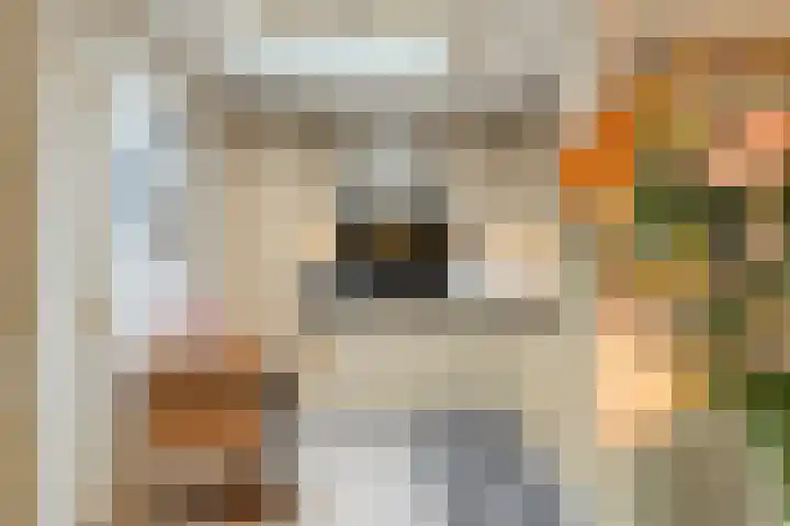 Wilgeroosje 9 Sevenum thumbnail 13