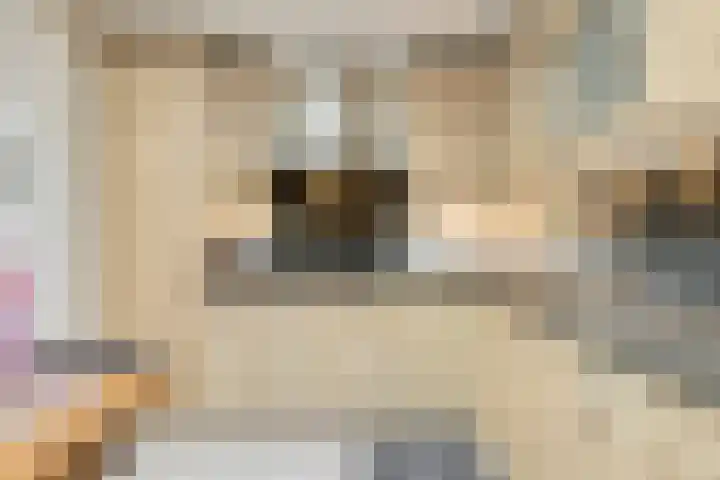 Wilgeroosje 9 Sevenum thumbnail 15