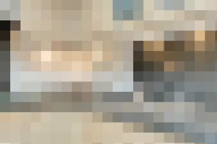 Wilgeroosje 9 Sevenum thumbnail 16
