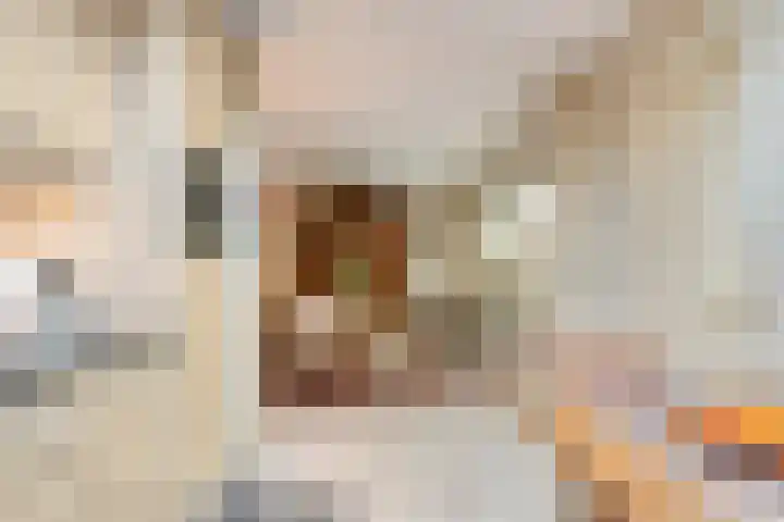 Wilgeroosje 9 Sevenum thumbnail 17