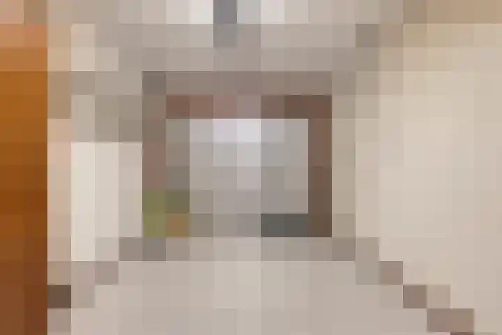 Wilgeroosje 9 Sevenum thumbnail 20