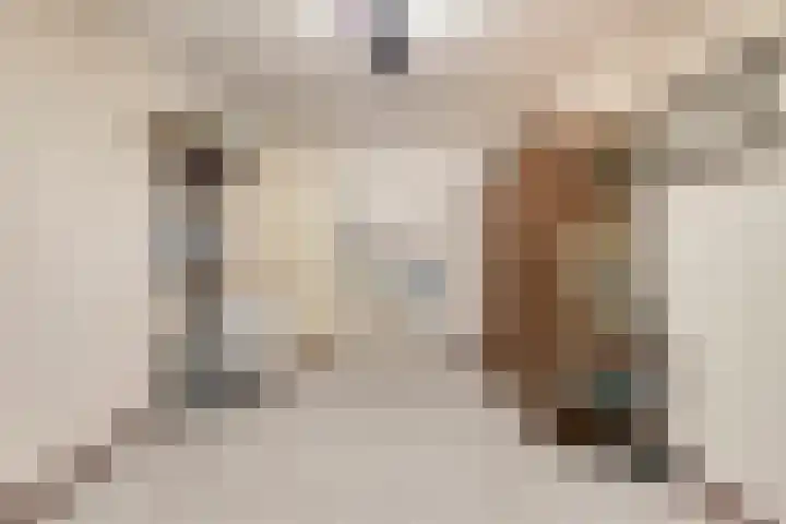 Wilgeroosje 9 Sevenum thumbnail 21