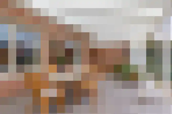 Wilgeroosje 9 Sevenum thumbnail 33