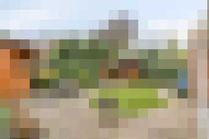 Wilgeroosje 9 Sevenum thumbnail 36
