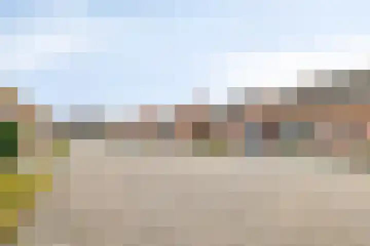 Wilgeroosje 9 Sevenum thumbnail 41