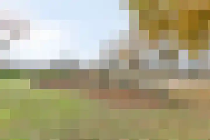Wilgeroosje 9 Sevenum thumbnail 42