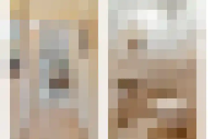 Wilgeroosje 9 Sevenum thumbnail 6