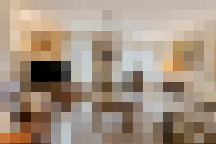Wilgeroosje 9 Sevenum thumbnail 8