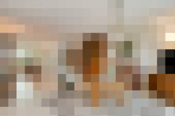 Wilgeroosje 9 Sevenum thumbnail 9