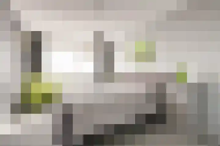 Wilgestraat 21 's-Gravenpolder thumbnail 17
