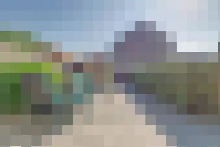 Wilgestraat 21 's-Gravenpolder thumbnail 24