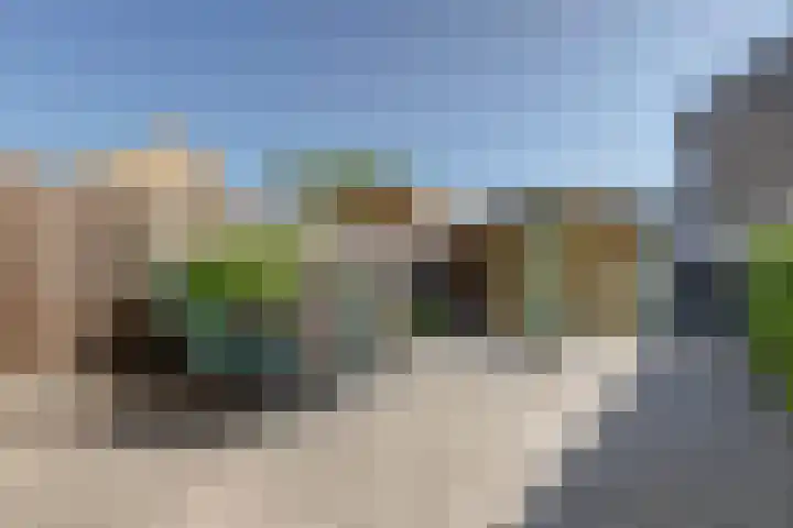 Wilgestraat 21 's-Gravenpolder thumbnail 25