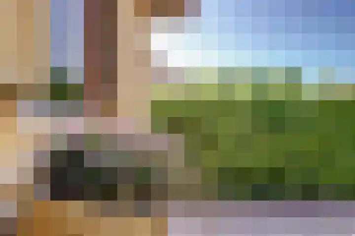 Wilgestraat 21 's-Gravenpolder thumbnail 27