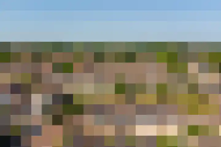 Wilgestraat 21 's-Gravenpolder thumbnail 32
