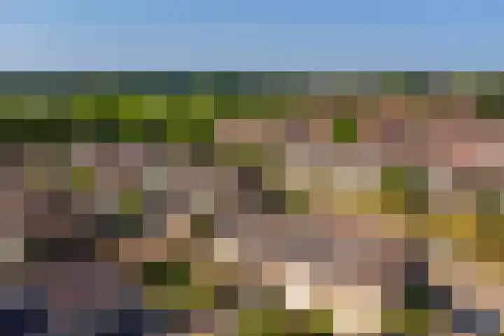 Wilgestraat 21 's-Gravenpolder thumbnail 33