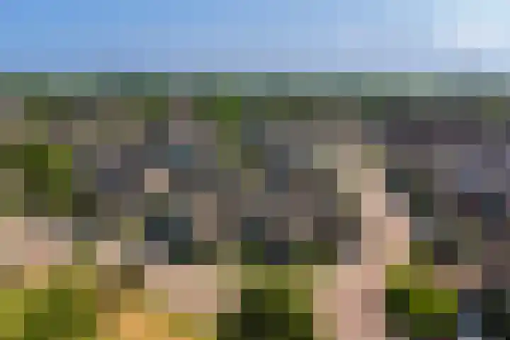 Wilgestraat 21 's-Gravenpolder thumbnail 34